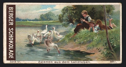 Sammelbild robert berger - sammelbild,