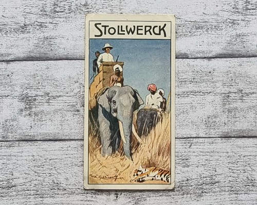 Indische elefant jagdhelfer - indische,