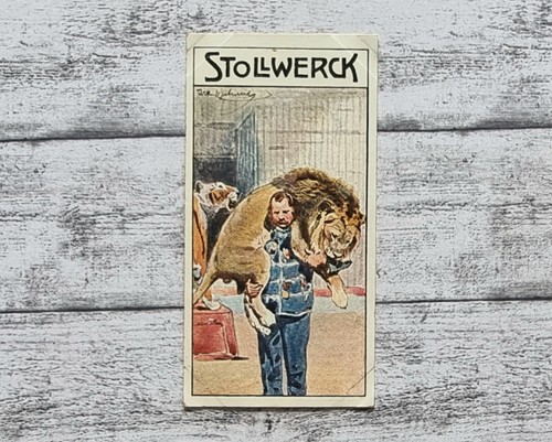 Löwe zirkus 454 kuhnert - löwe,