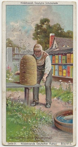 216 sammelbild deutsche - 68/216,
