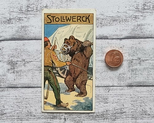 Tanzbär petz 455 stollwerck - petz,