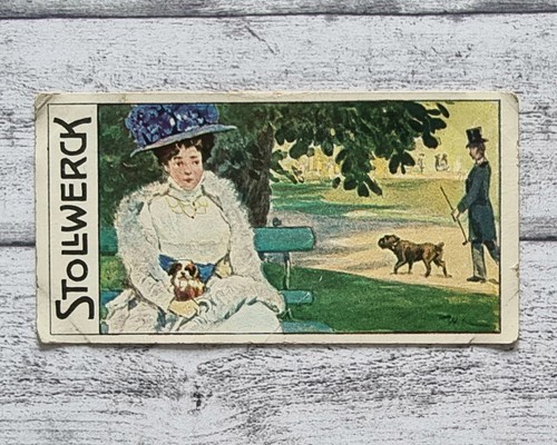 Hunde gesellschafter frau - hunde,