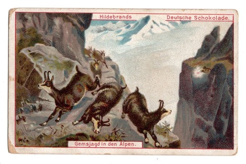 Hildebrands sammelbild - sammelbild, ca