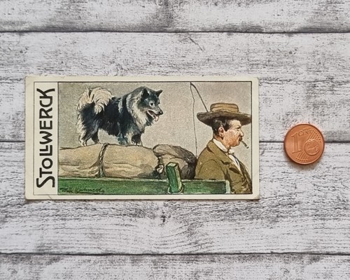 Spitz wächter lastwagen 453 - spitz,