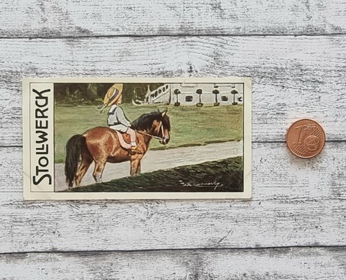 Shetland pony kinder pferd 458 - pferd,