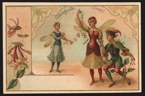Sammelbild chocolat la - de,